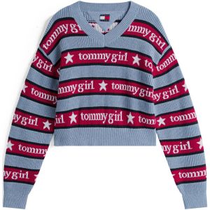 Tommy Jeans Trui  marine / lichtblauw / vuurrood / wit