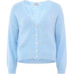 Zwillingsherz - Gebreid Vest - Lichtblauw - Raglanmouwen - V-hals