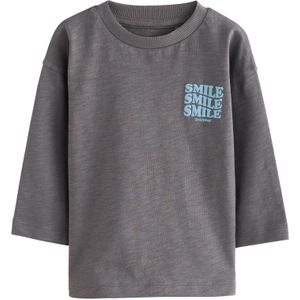 Next Shirt  pastelblauw / donkergrijs