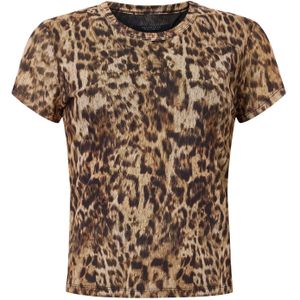 AllSaints Shirt 'ELLIE'  bruin / lichtbruin