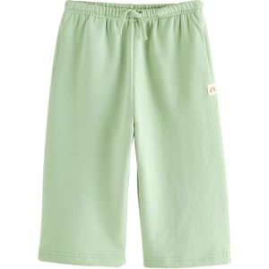 Next Broek  pastelgroen