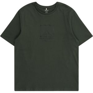 NAME IT Shirt 'NKMNADIR'  camel / grijs / mintgroen / spar