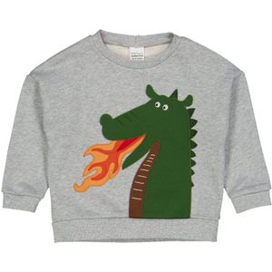 Fred's World by GREEN COTTON Sweatshirt  bruin / grijs gemêleerd / donkergroen / oranje