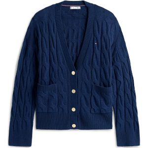 TOMMY HILFIGER Gebreid vest  navy
