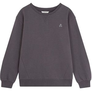 Scalpers Sweatshirt 'Guitar'  opaal / antraciet / lichtgroen / zilver