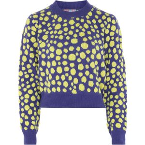 Sookie Trui  geel / violetblauw