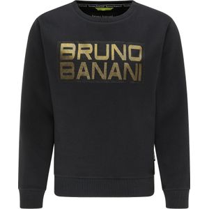 Bruno Banani Sweatshirt 'Watson'  goud / zwart