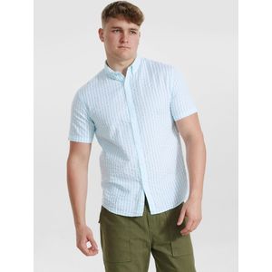 Dxnmxrk Shirt 'DXConstantin'  turquoise