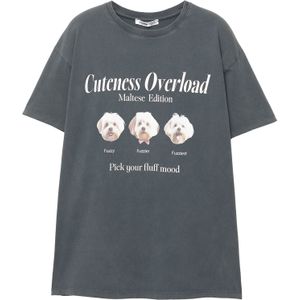 Pull&Bear Shirt  lichtbruin / donkergrijs / rosa / wit