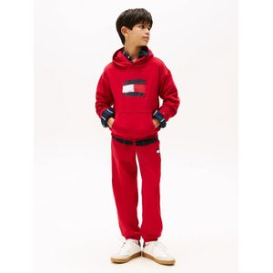 TOMMY HILFIGER Sweatshirt 'FLAG HOODIE BABY'  knalrood