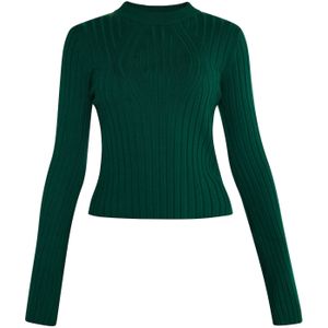 faina Trui 'Dedica'  smaragd