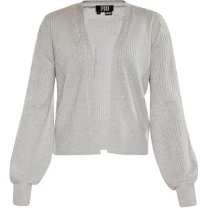 IPARO Gebreid vest  grijs