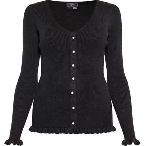 faina Gebreid vest  zwart