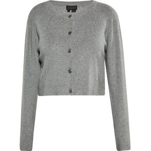 NAEMI Gebreid vest  grijs