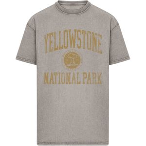 F4NT4STIC Shirt  geel / grijs