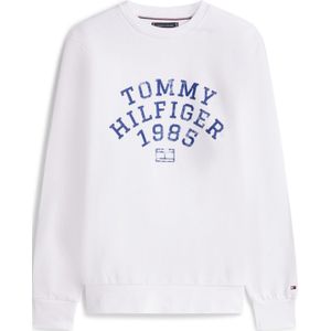 TOMMY HILFIGER Sweatshirt  blauw / wit