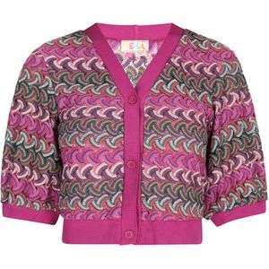 IZIA Gebreid vest  gemengde kleuren / pink