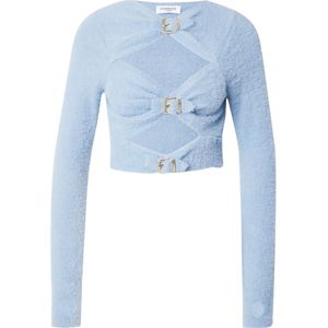 Hoermanseder Trui 'Arlene'  lichtblauw