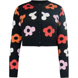 MYMO Gebreid vest  gemengde kleuren / zwart