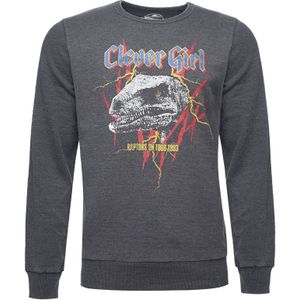 Recovered Sweatshirt 'Jurassic Park T-Rex Rock'  grijs