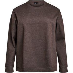 Flash by Zizzi Sweatshirt 'Vigga'  chocoladebruin