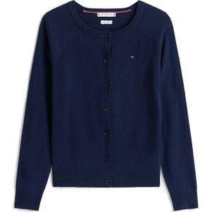 TOMMY HILFIGER Gebreid vest  navy