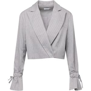 Laurella Blazers  grijs / donkergrijs