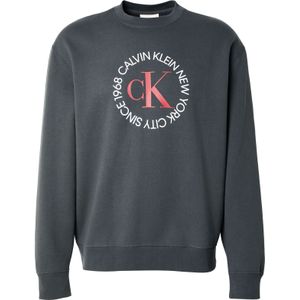 Calvin Klein Jeans Sweatshirt  donkergrijs / rood / wit
