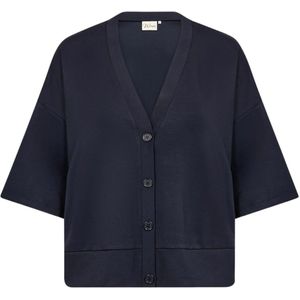 Wasabi Concept Gebreid vest  navy