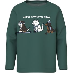 NAME IT Shirt 'NMMVUX'  bruin / donkergroen / wit