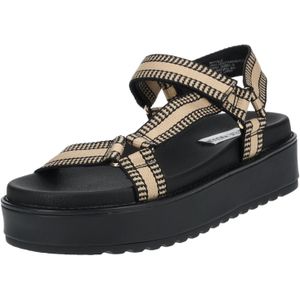STEVE MADDEN Sandalen met riem  beige / zwart
