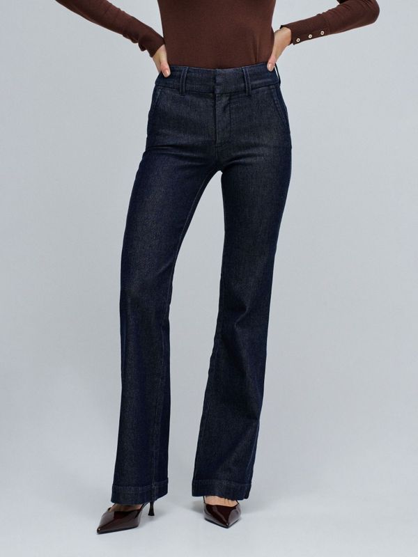 Salsa Jeans Jeans 'Secret'  blauw denim