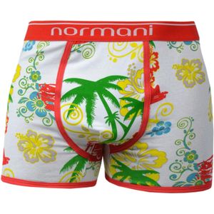normani Boxershorts  geel / groen / rood / wit
