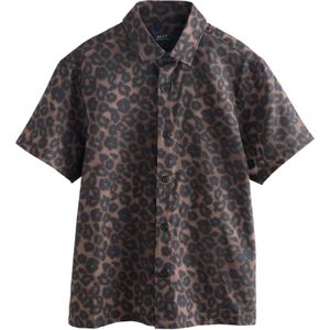 Next Shirt  bruin / donkerbruin