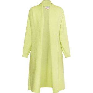 IZIA Gebreid vest  appel