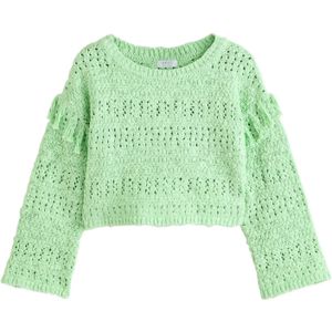 Next Trui  mintgroen