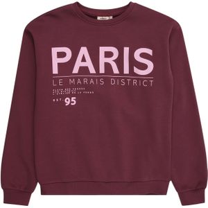 ONLY GIRLS Sweatshirt 'KOGZENJA'  braam / rosa