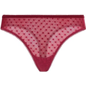 LSCN by LASCANA String  bourgogne