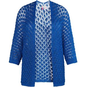 IZIA Gebreid vest  blauw
