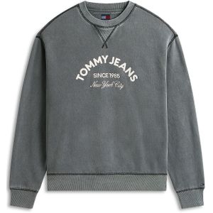 Tommy Jeans Sweatshirt  grijs / wit