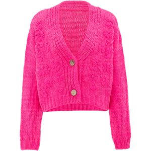 ebeeza Gebreid vest  fuchsia