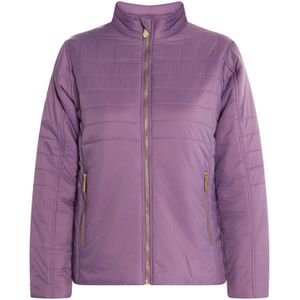 faina Tussenjas 'Caissa'  orchidee