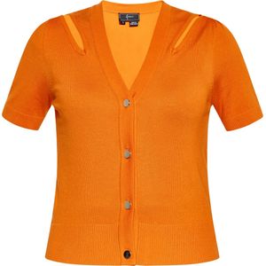 faina Gebreid vest  oranje