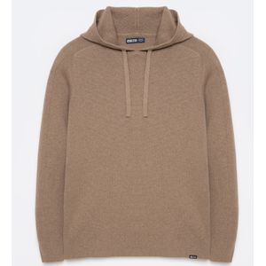 BIG STAR Sweatshirt ' HOODSY '  beige
