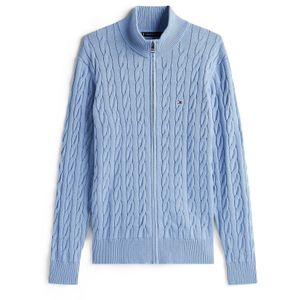 TOMMY HILFIGER - Trui - Lichtblauw - Katoen - Lange Mouw