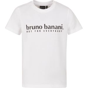 Bruno Banani Shirt  zwart / wit