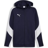 Hoodie Puma Team Evostripe