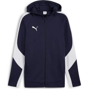 Hoodie Puma Team Evostripe