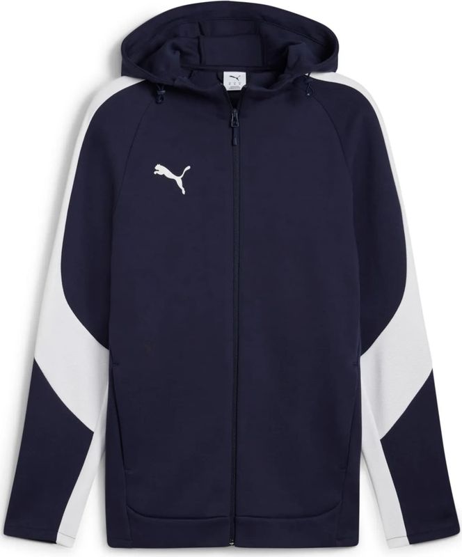 Hoodie Puma Team Evostripe