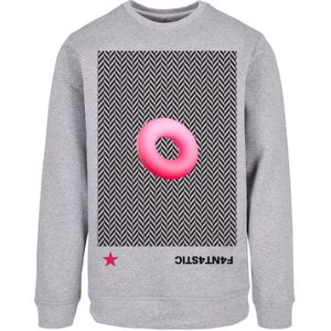 F4NT4STIC Sweatshirt  grijs gemêleerd / pink / zwart